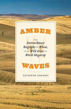 Amber Waves: The Extraordinary Biography of Wheat, from Wild Grass to World Megacrop de Catherine Zabinski
