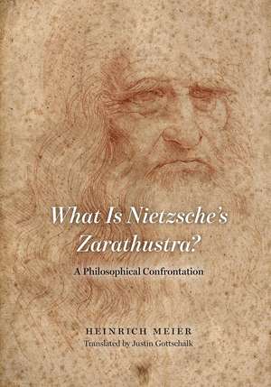 What is Nietzsche's Zarathustra?: A Philosophical Confrontation de Heinrich Meier