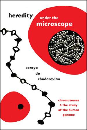 Heredity under the Microscope: Chromosomes and the Study of the Human Genome de Soraya de Chadarevian