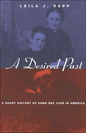 A Desired Past: A Short History of Same-Sex Love in America de Leila J. Rupp