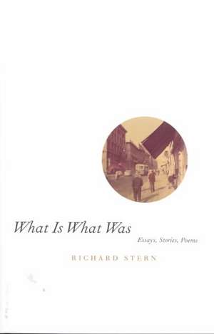 What Is What Was de Richard Stern