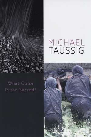 What Color Is the Sacred? de Michael Taussig