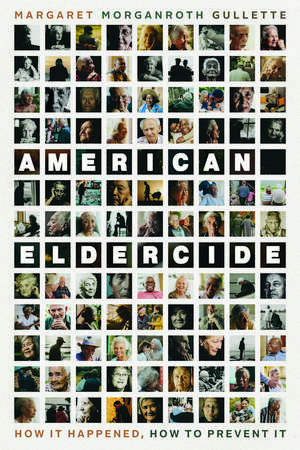 American Eldercide: How It Happened, How to Prevent It de Margaret Morganroth Gullette