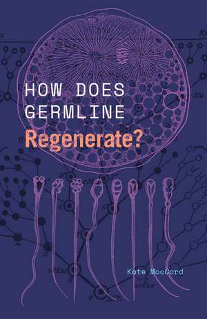 How Does Germline Regenerate? de Kate MacCord