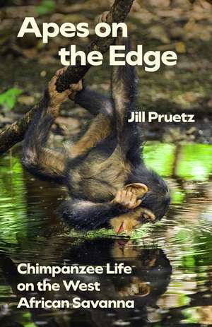 Apes on the Edge: Chimpanzee Life on the West African Savanna de Jill Pruetz