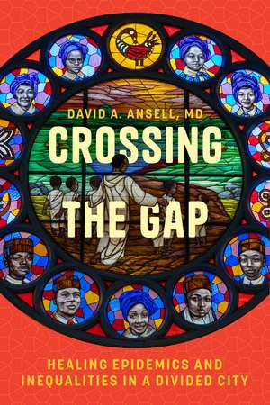 Crossing the Gap: Healing Epidemics and Inequalities in a Divided City de David A. Ansell, MD