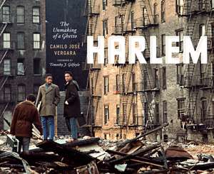 Harlem: The Unmaking of a Ghetto de Camilo José Vergara