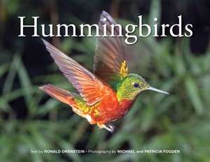 Hummingbirds de Ronald Orenstein