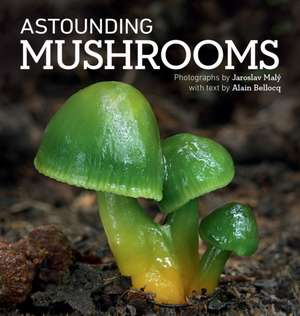 Astounding Mushrooms de Alain Bellocq