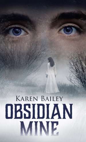 Obsidian Mine de Karen Bailey