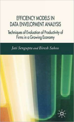 Efficiency Models in Data Envelopment Analysis: Techniques of Evaluation of Productivity of Firms in a Growing Economy de J. K. Sengupta