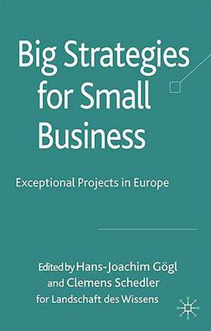 Big Strategies for Small Business: Exceptional Projects in Europe de H. Gögl