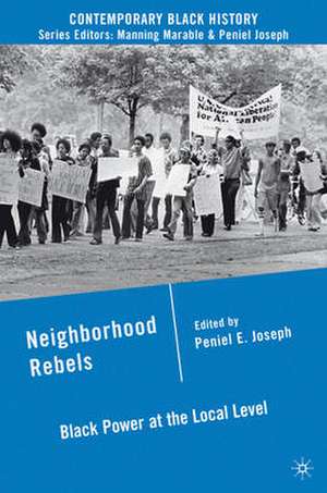 Neighborhood Rebels: Black Power at the Local Level de P. Joseph