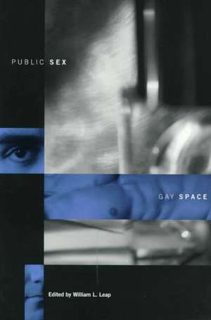 Public Sex/Gay Space (Paper) de William Leap