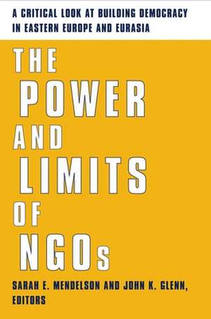 The Power & Limits of NGOs – A Critical Look at Building Democracy in Eastern Europe & Eurasia de Sarah Mendelson