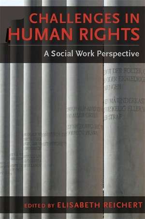 Challenges in Human Rights – A Social Work Perspective de Elisabeth Reichert