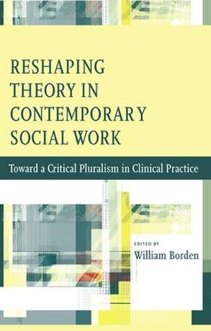 Reshaping the Domain of Theory in Social Work – Toward a Critical Pluralism in Contemporary Practice de William Borden