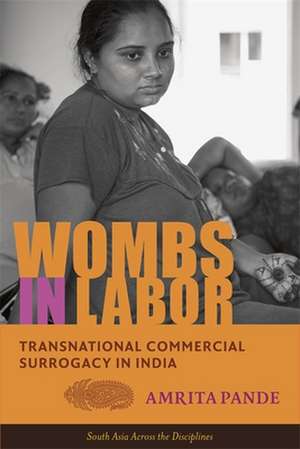 Wombs in Labor – Transnational Commercial Surrogacy in India de Amrita Pande