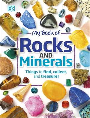 My Book of Rocks and Minerals: Things to Find, Collect, and Treasure de Dr Devin Dennie