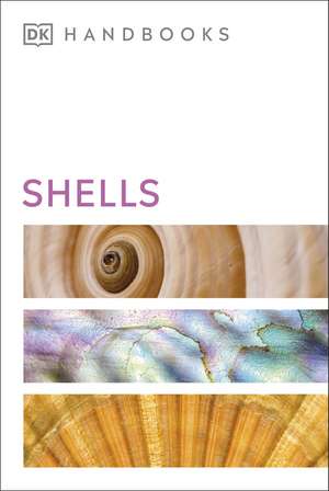 Shells de S. Peter Dance