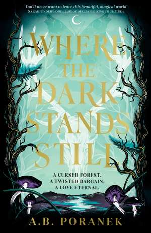 Where the Dark Stands Still de A. B. Poranek