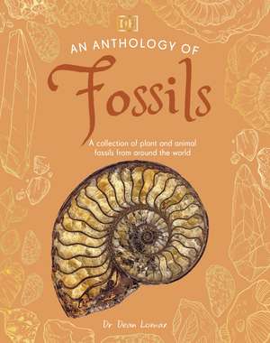 An Anthology of Fossils: A Collection of Plant and Animal Fossils From Around the World de Dean Lomax