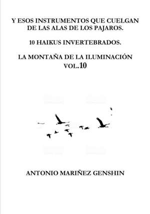 Y ESOS INSTRUMENTOS QUE CUELGAN DE LAS ALAS DE LOS PAJAROS de Antonio Mariñez Dominguez