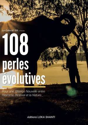 108 PERLES EVOLUTIVES de Collectif