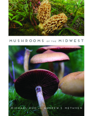 Mushrooms of the Midwest de Michael Kuo