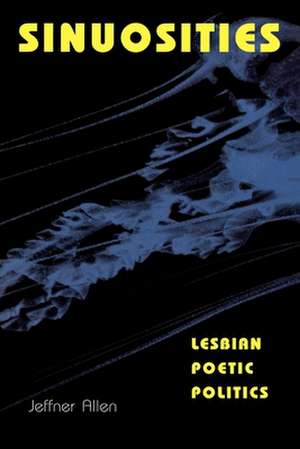 Sinuosities, Lesbian Poetic Politics de Jeffner Allen