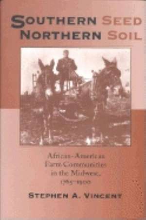 Southern Seed, Northern Soil – African–American Farm Communities in the Midwest, 1765–1900 de Stephen A. Vincent