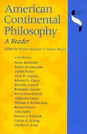 American Continental Philosophy – A Reader de Walter Brogan