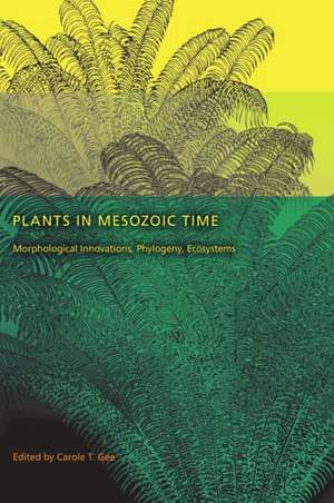 Plants in Mesozoic Time – Morphological Innovations, Phylogeny, Ecosystems de Carole T. Gee