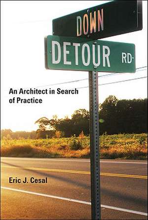 Down Detour Road – An Architect in Search of Practice de Eric J. Cesal