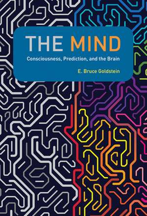 The Mind de E Bruce Goldstein