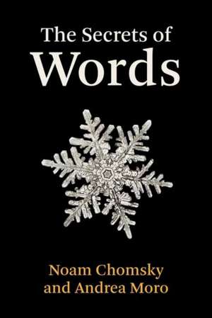 The Secrets of Words de Noam Chomsky