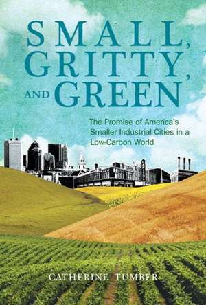 Small, Gritty, and Green – The Promise of America`s Smaller Industrial Cities in a Low–Carbon World de Catherine Tumber