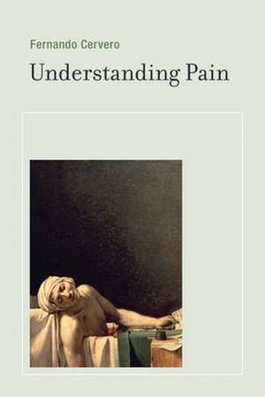 Understanding Pain – Exploring the Perception of Pain de Fernando Cervero