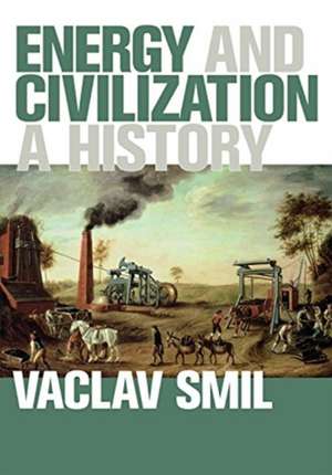 Energy and Civilization – A History de Vaclav Smil