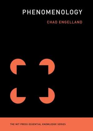 Phenomenology de Chad Engelland