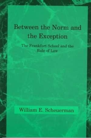 Between the Norm & The Exception – The Frankfurt School & the Rule of Law (Paper) de William Scheuerman