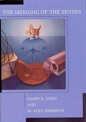 The Merging of the Senses de Barry E Stein