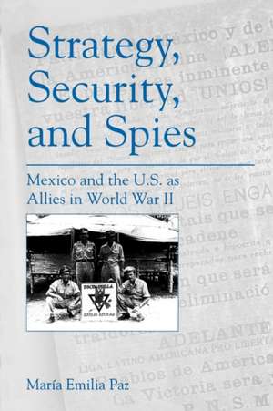 Strategy, Security, and Spies – Mexico and the U.S. as Allies in World War II de María Emilia Paz