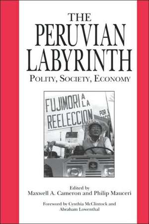 The Peruvian Labyrinth – Polity, Society, Economy de Maxwell A. Cameron