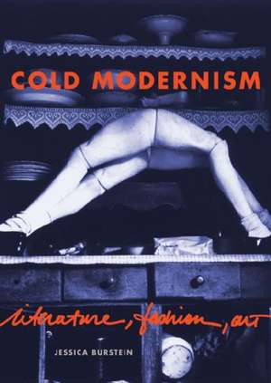 Cold Modernism – Literature, Fashion, Art de Jessica Burstein