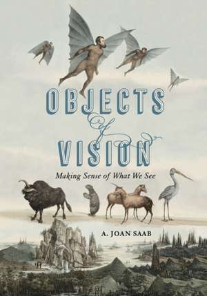 Objects of Vision – Making Sense of What We See de A. Joan Saab