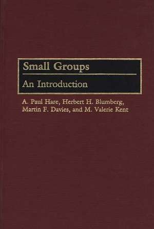 Small Groups: An Introduction de Herbert H. Blumberg