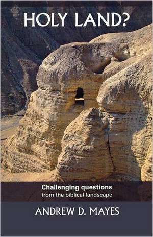 Holy Land? – Challenging Questions From The Biblical Landscape de Andrew Mayes