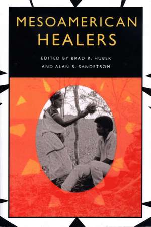 Mesoamerican Healers de Brad R. Huber