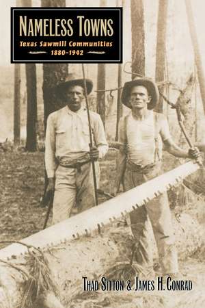 Nameless Towns: Texas Sawmill Communities, 1880-1942 de Thad Sitton